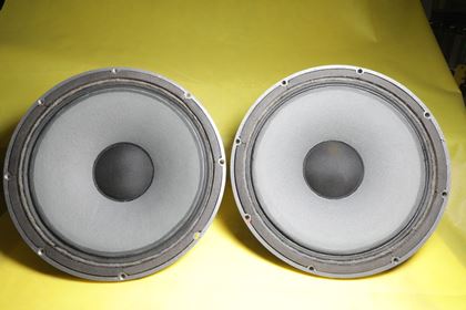 Tannoy-PAIR Monitor RED 15 inch inc xover